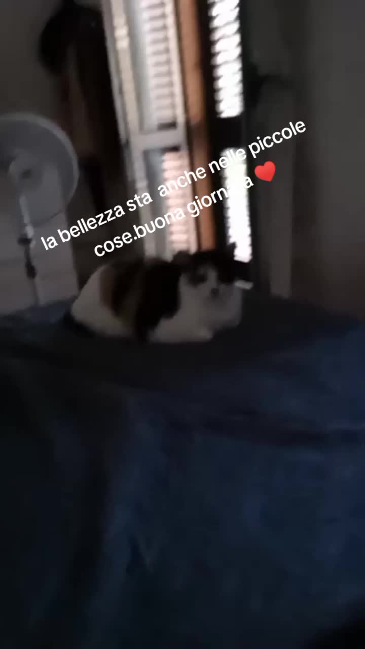 @Aurora Gobbetti697