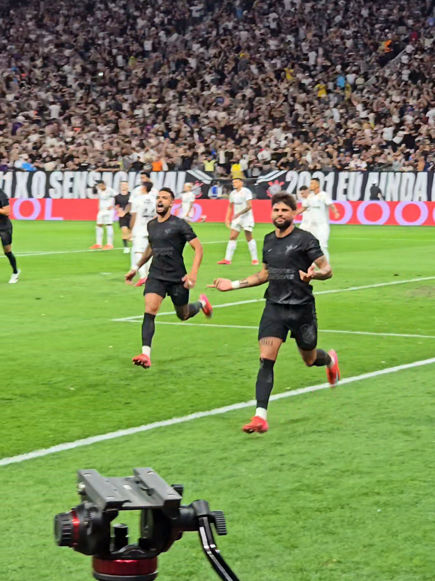 @Pedroksete 🇧🇷🦅