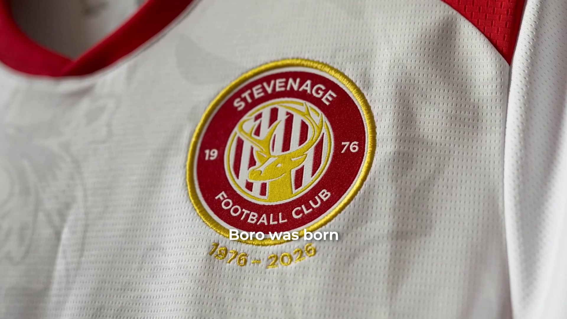 @Stevenage FC