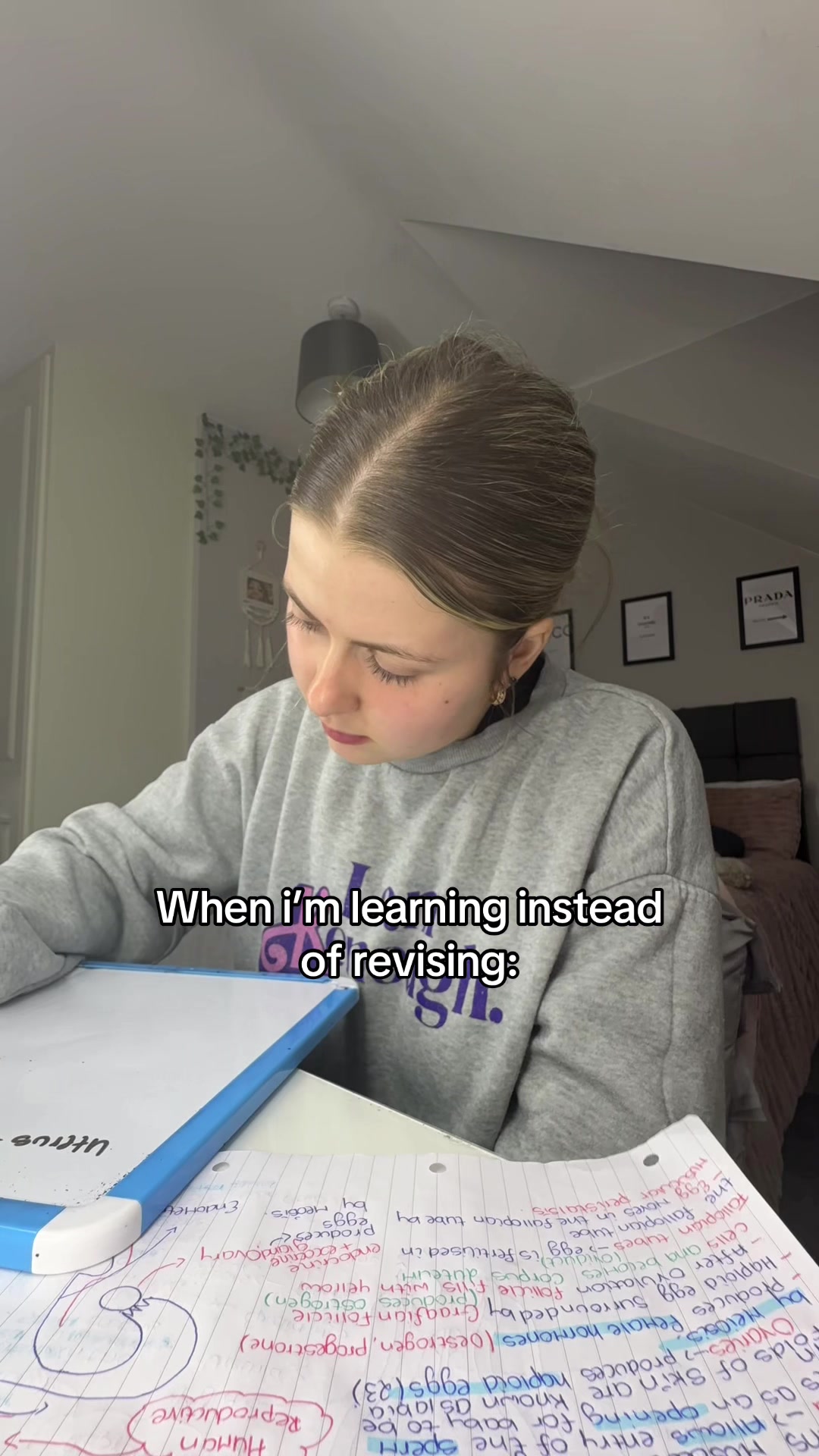 @fiadhxmccolgan