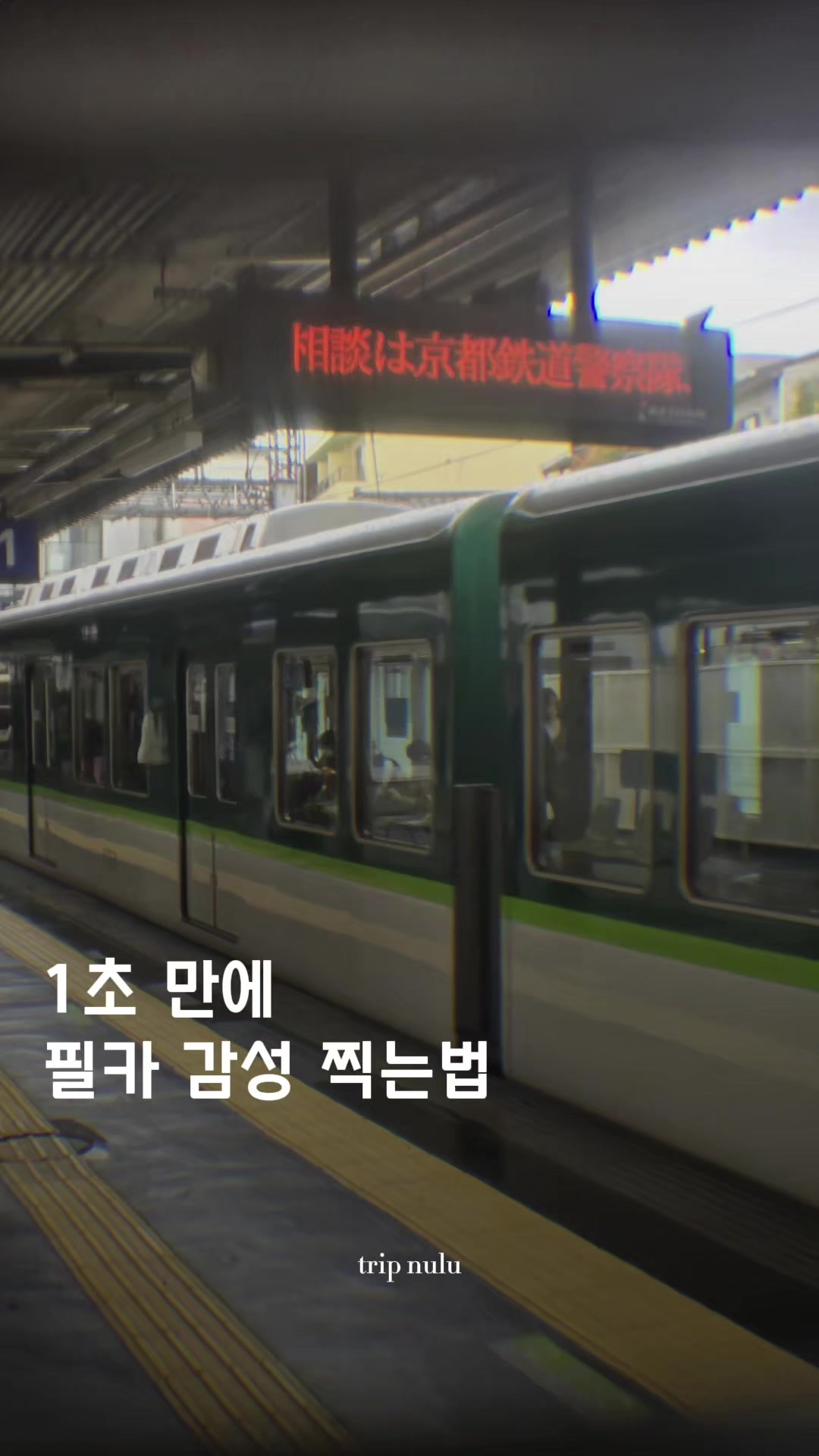 @여행 떠나는 눌루 Trip nulu