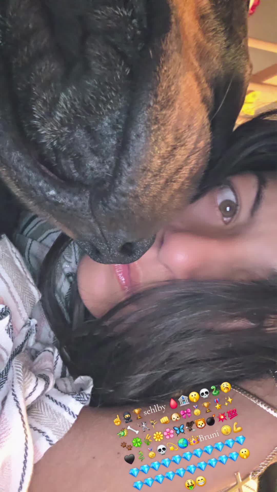 @Rottweiler Bruno