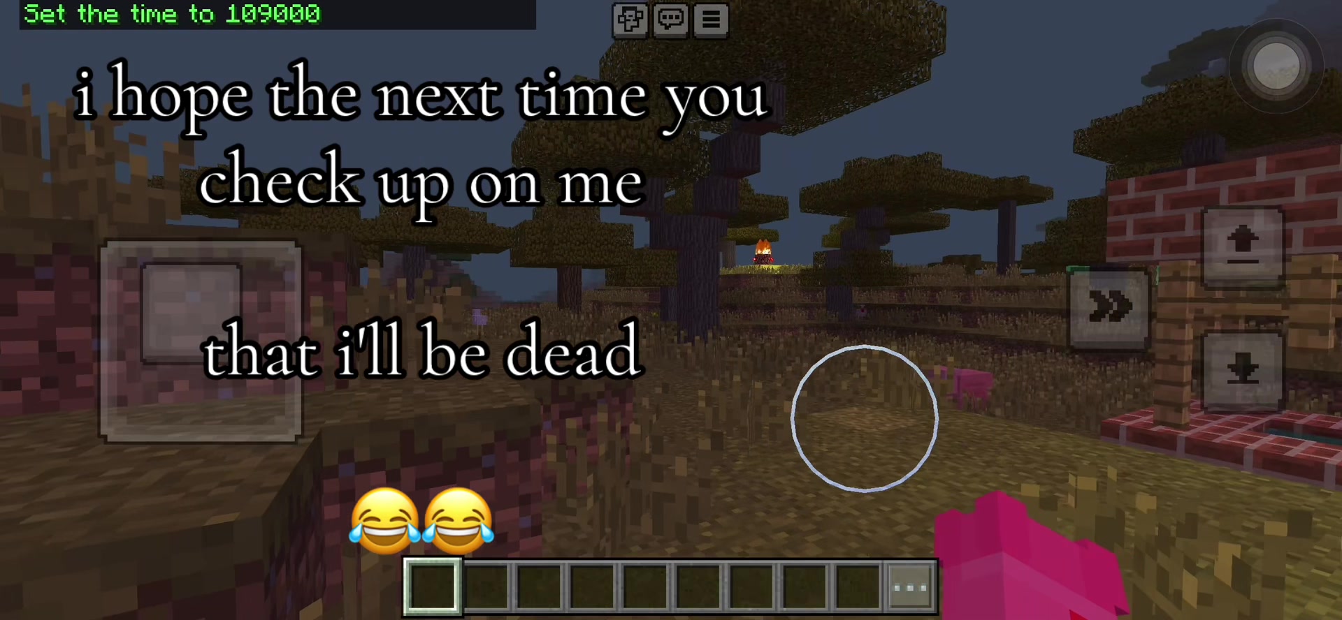 @meow