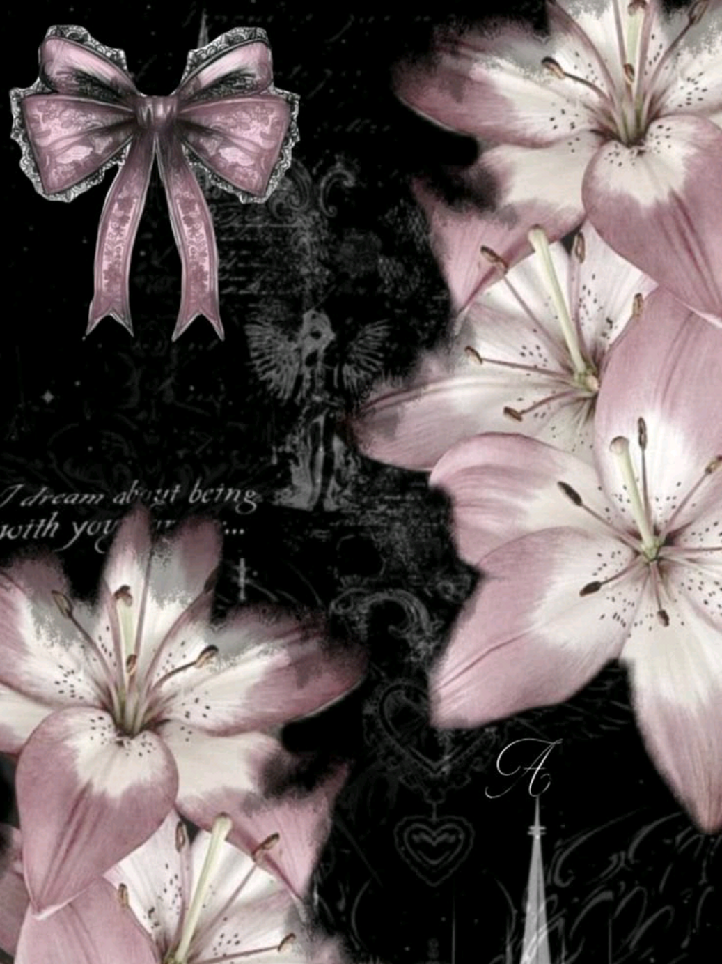 @⋆｡˚꒰ঌ 𝑹𝒂𝒄𝒉𝒆𝒍 ໒꒱˚｡⋆