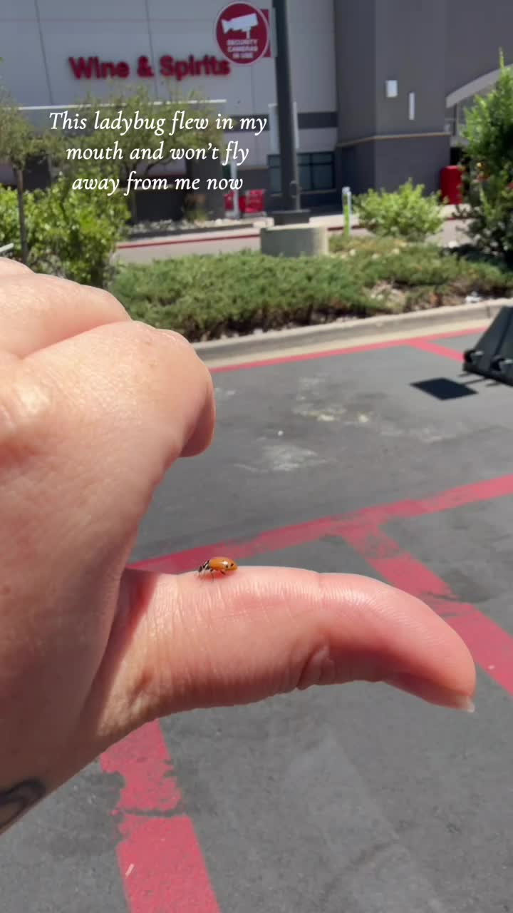 @D♡