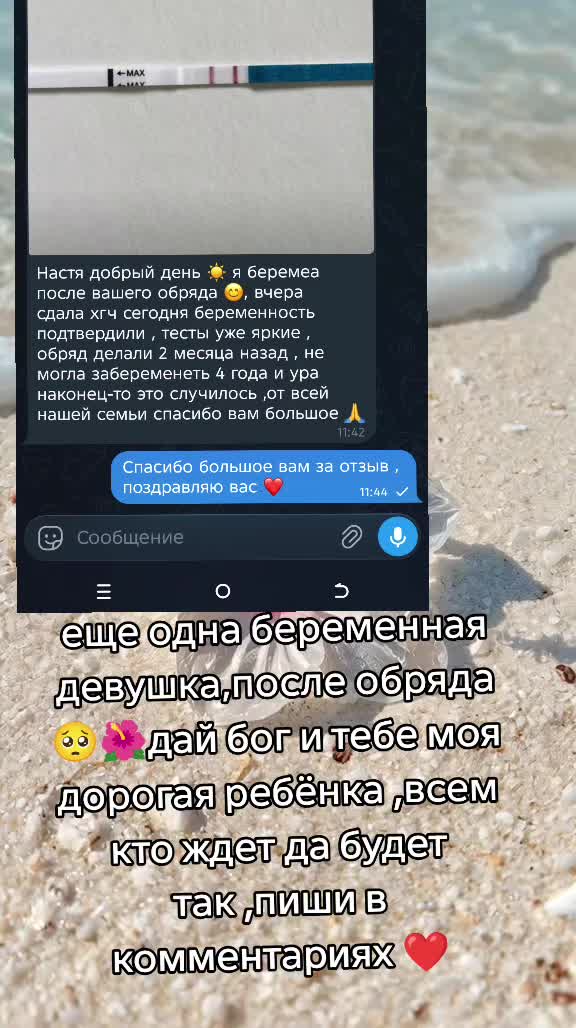 @Tarolog5467
