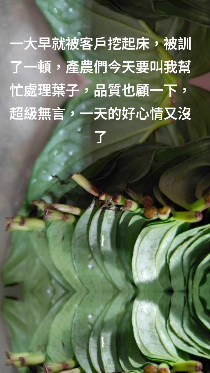 @曾國華(牛奶)