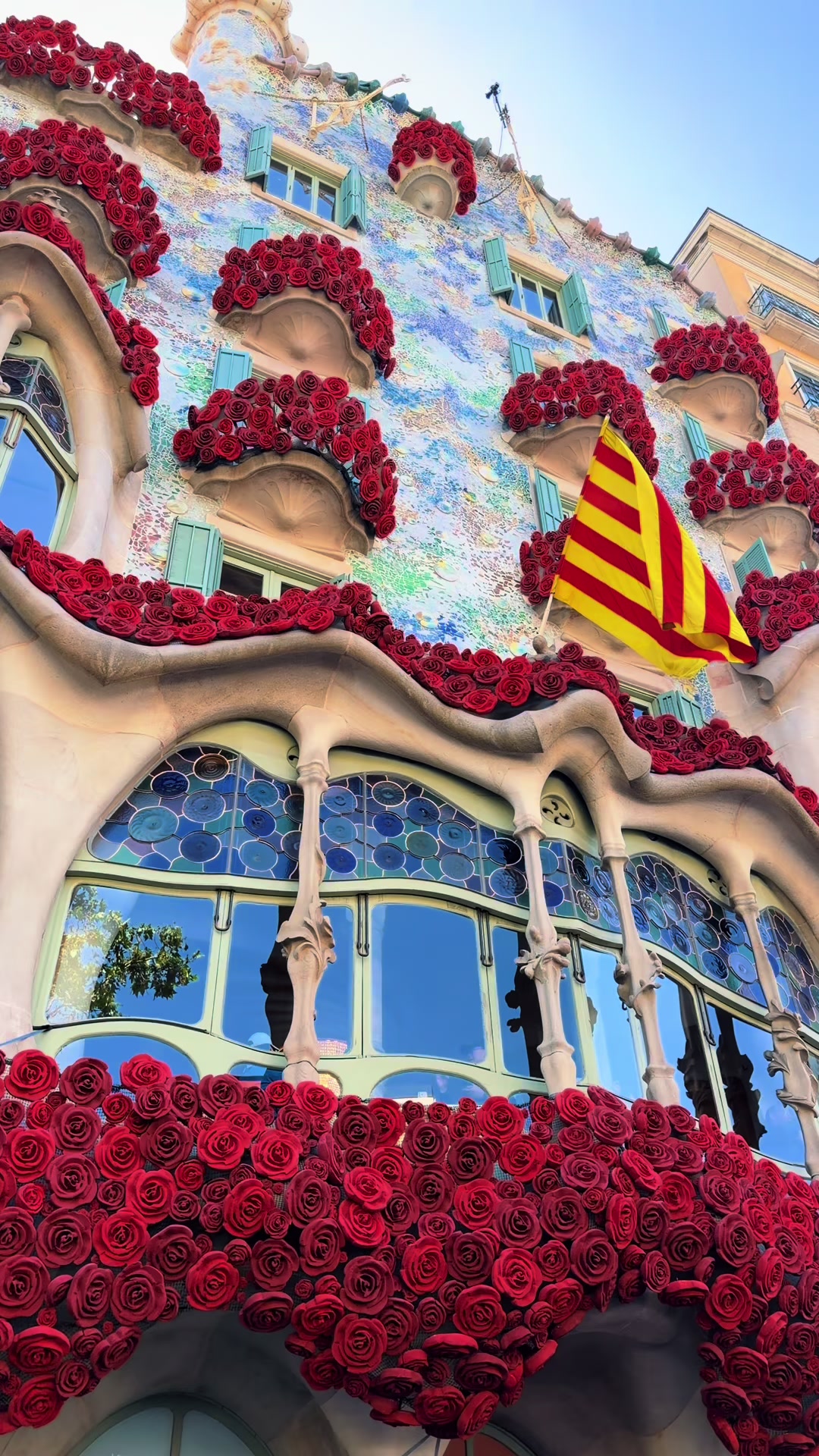 @𝓜𝓪𝓻𝓲́𝓪 𝓣𝓪𝓻𝓲𝓺🇪🇸🇵🇰