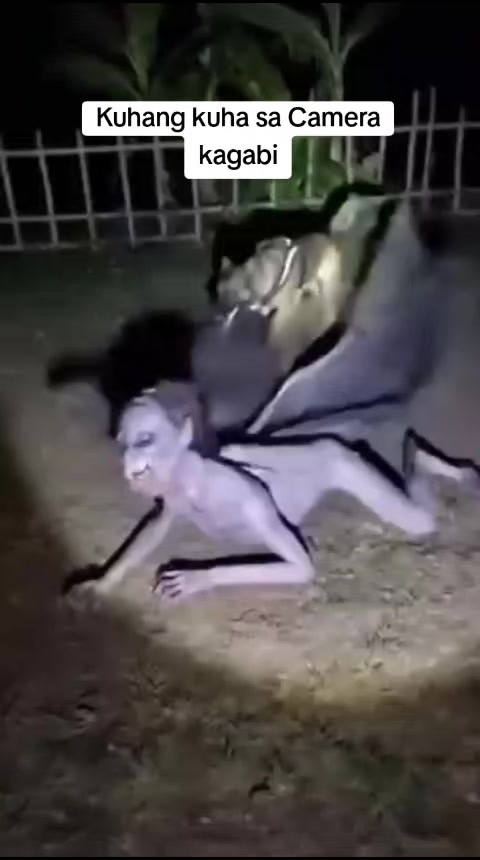 @Boy