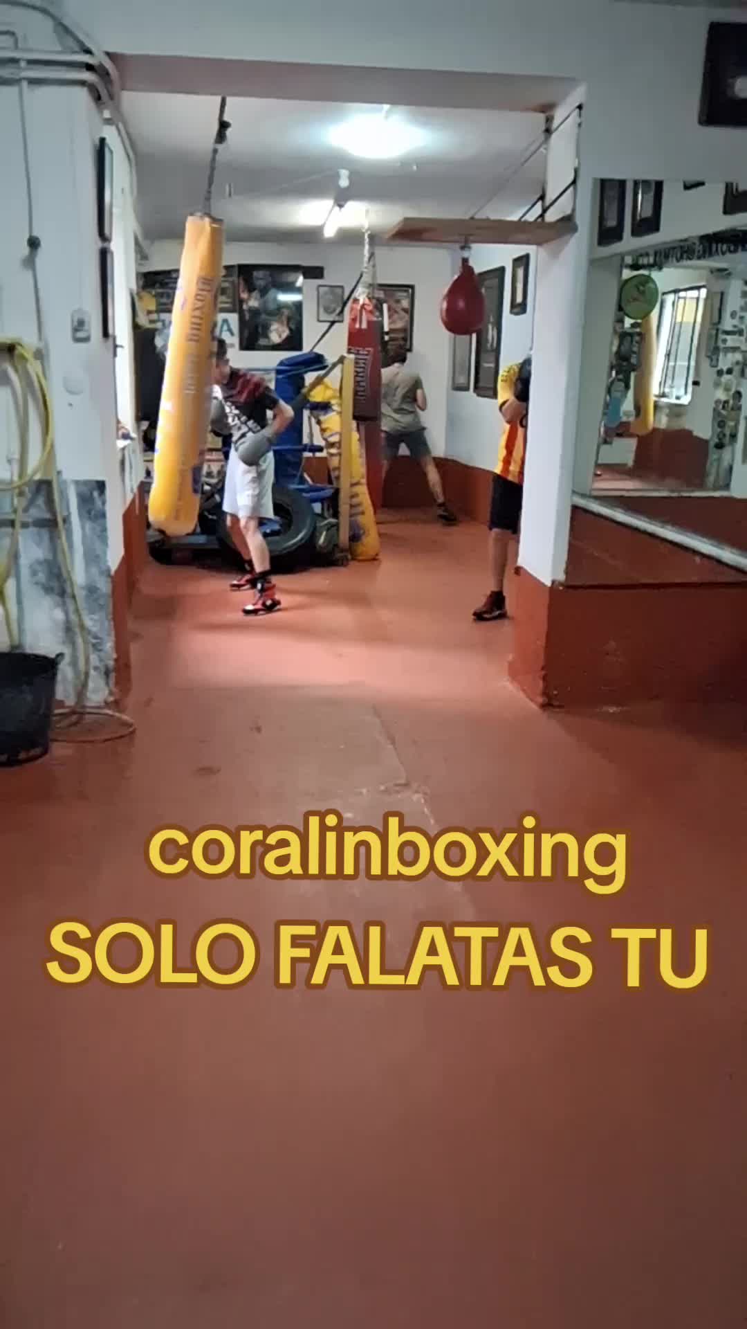@Coralingboxing72