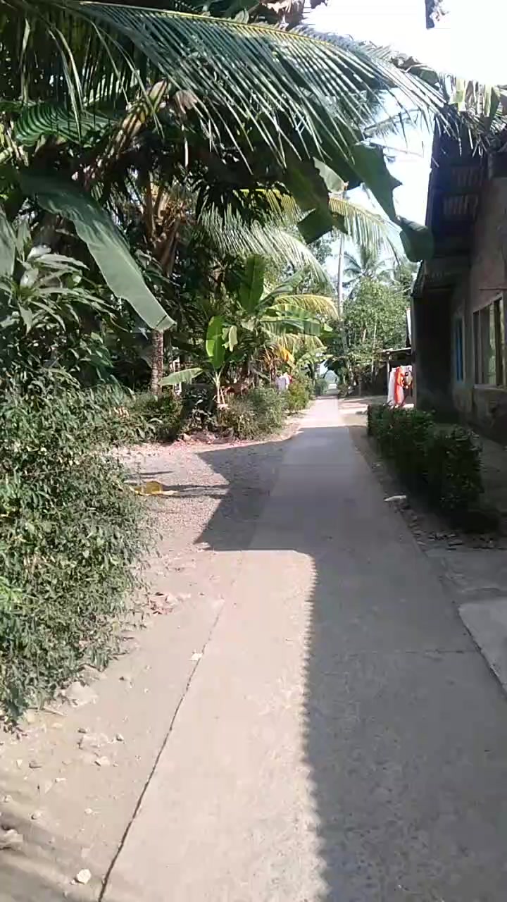 @L.A mild