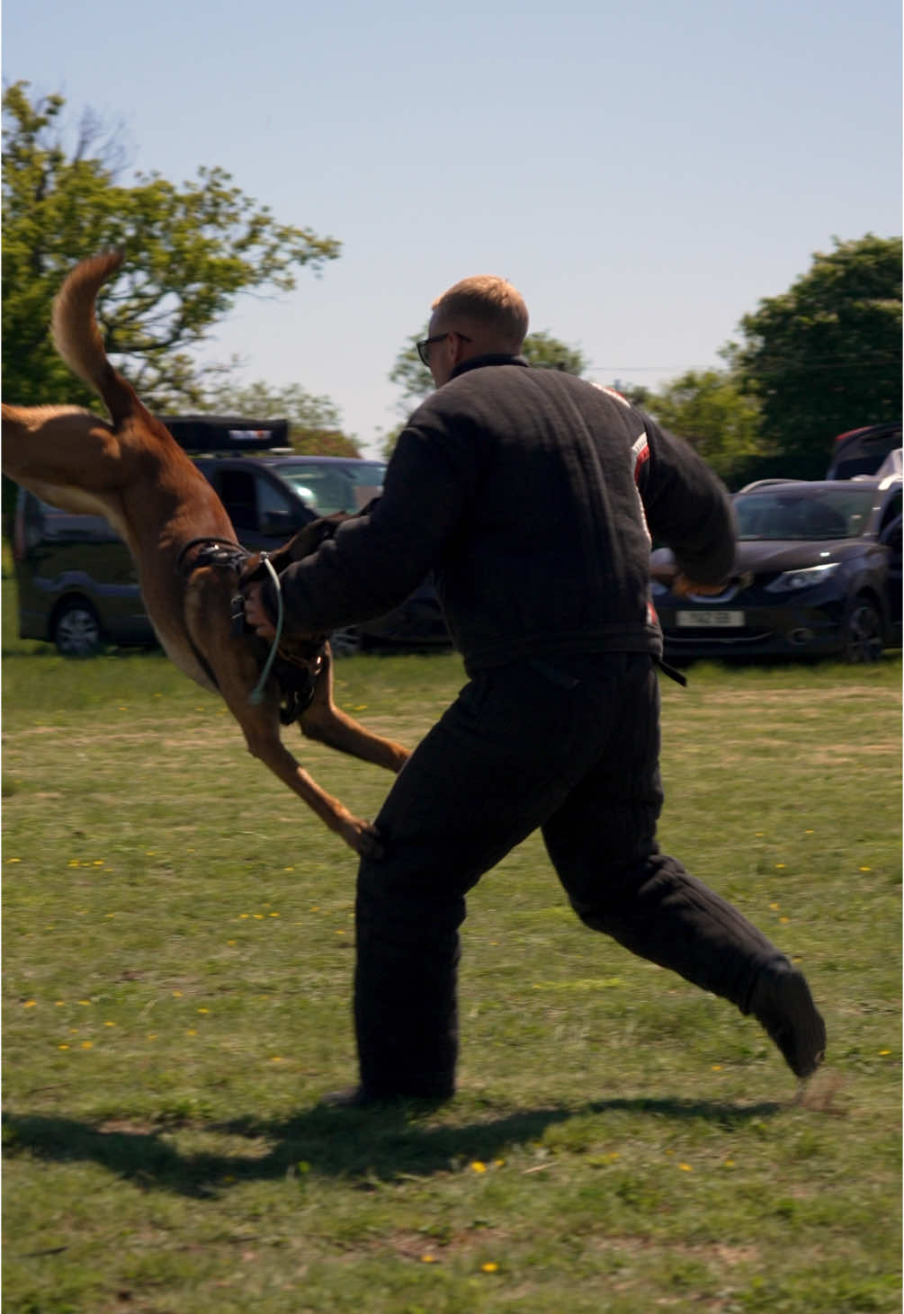 @Sirius K9