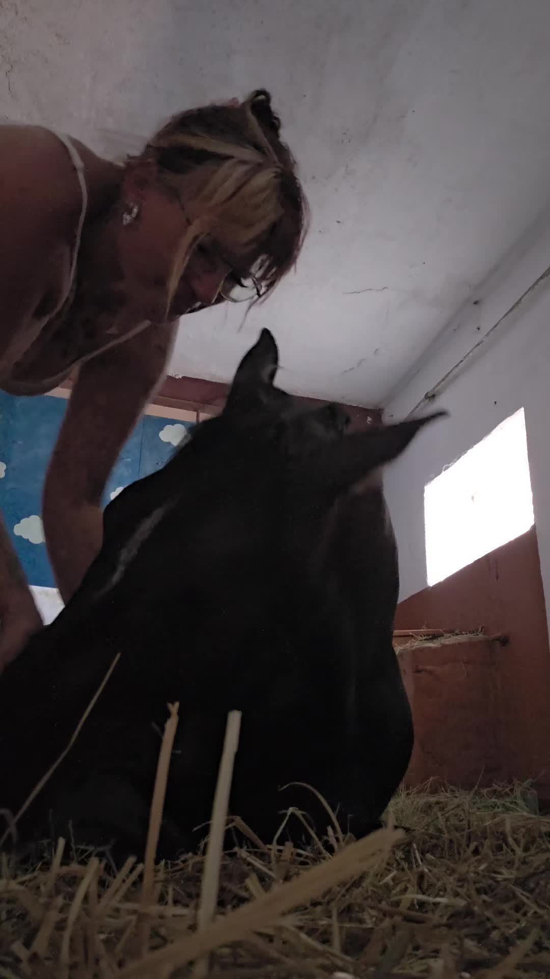 @Koňomama🩷🐴