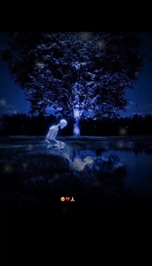 @🍃القرآن 🪴