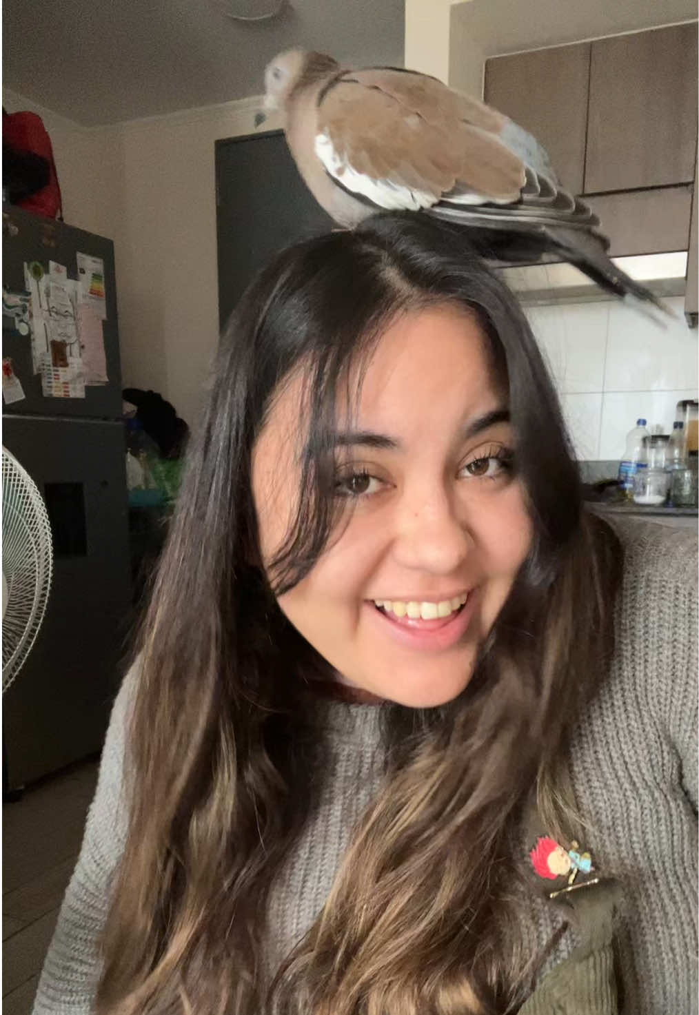 @Josefa 🫰🏻