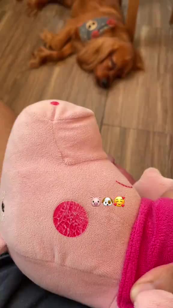 @xxxboy 2220