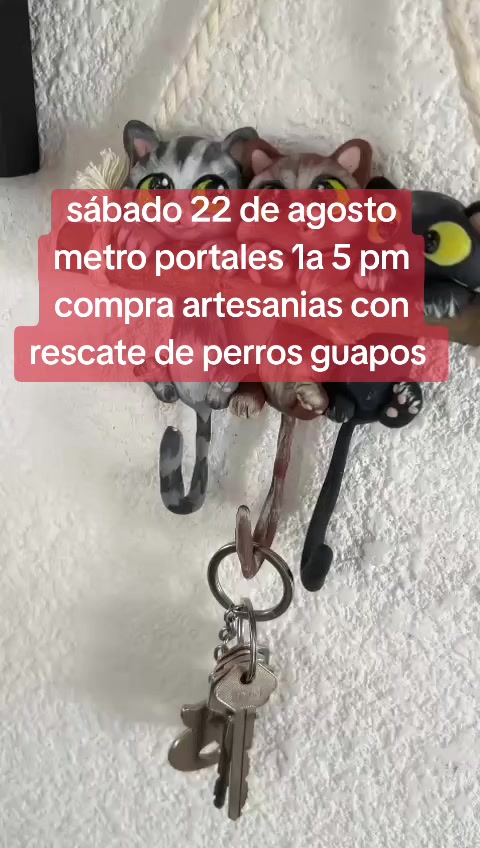 @rescate de perros guapos 😚