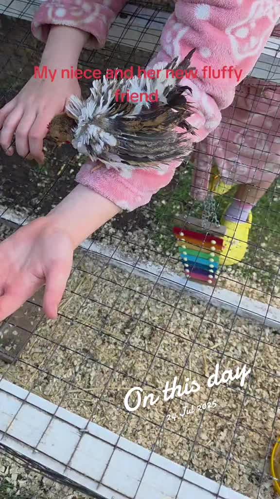 @Jules.kh