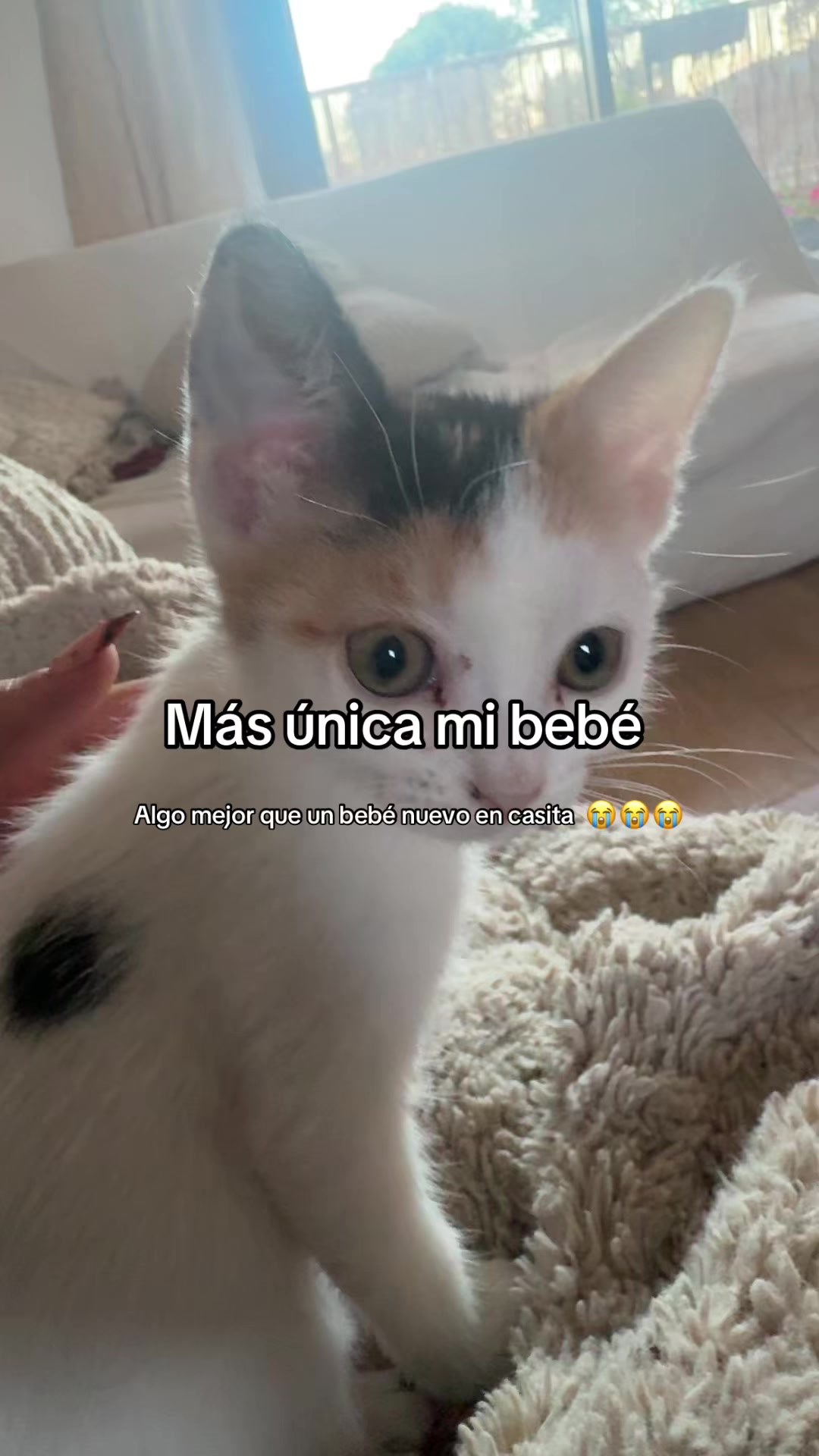 @Elisa Álvarez ๐