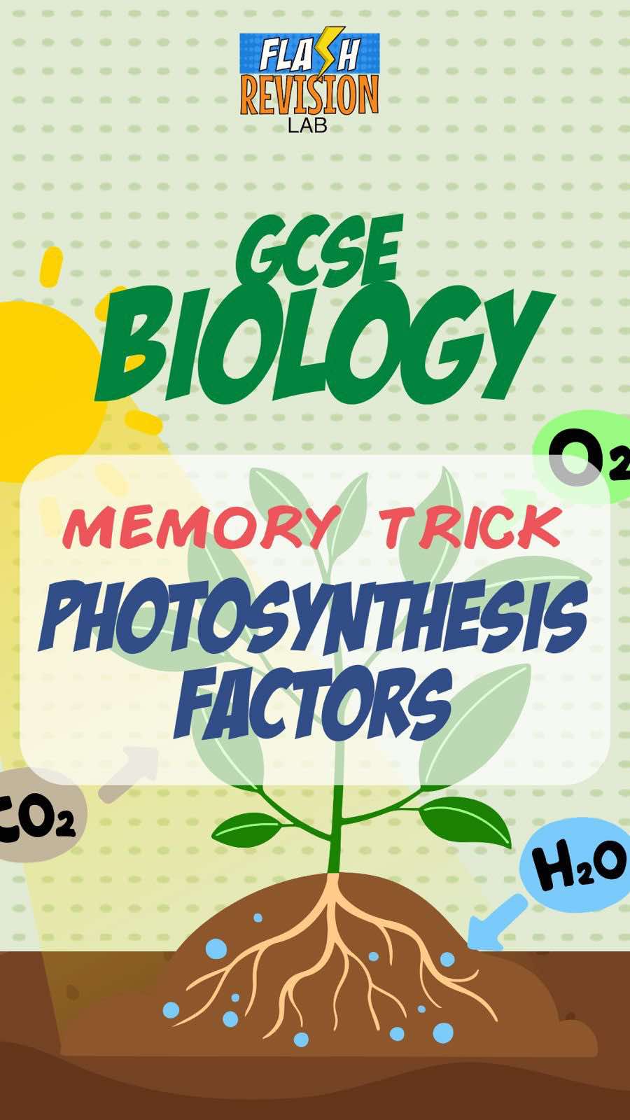 @FlashRevisionLab