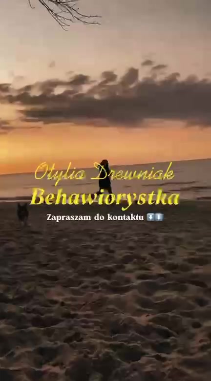 @happy_petsitterka