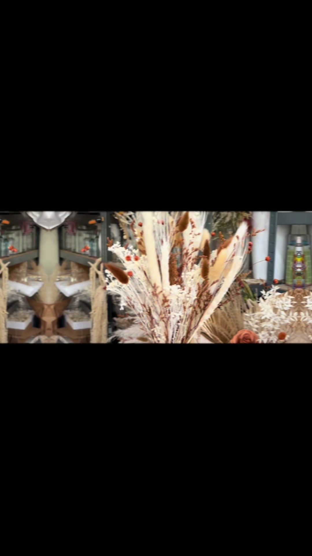 @Opal Lily - Dried Flowers