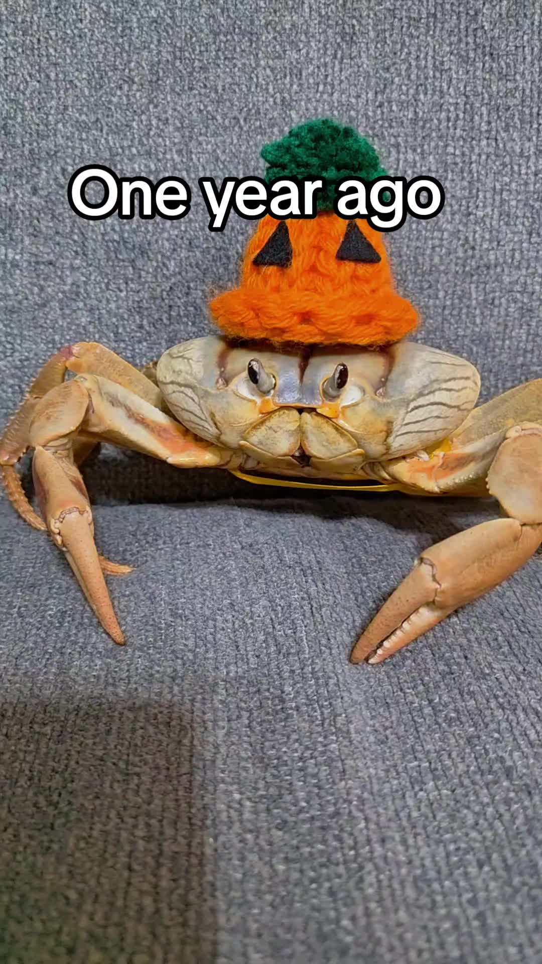 @Howie The Crab