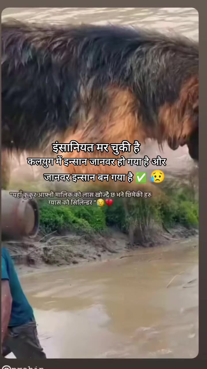 @Sanatani Chandan 🕉️🚩