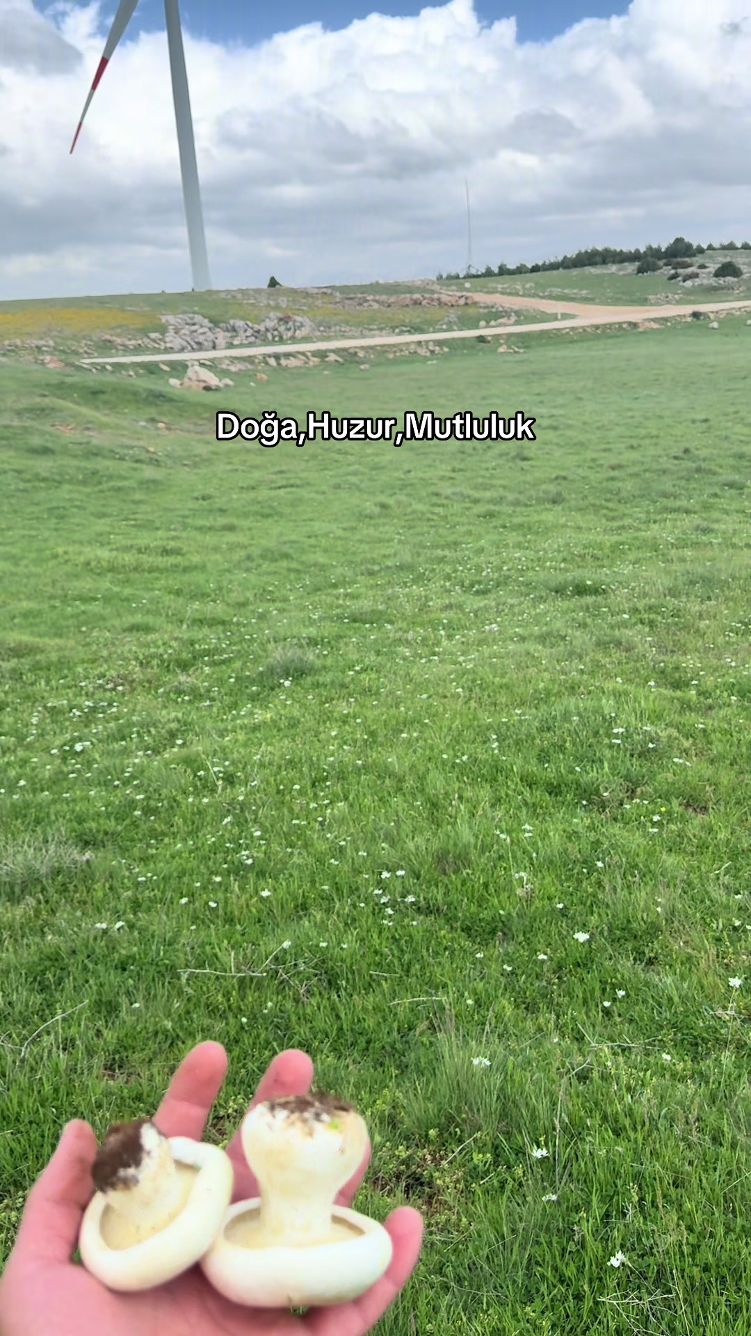 @Cevdet Ceylan