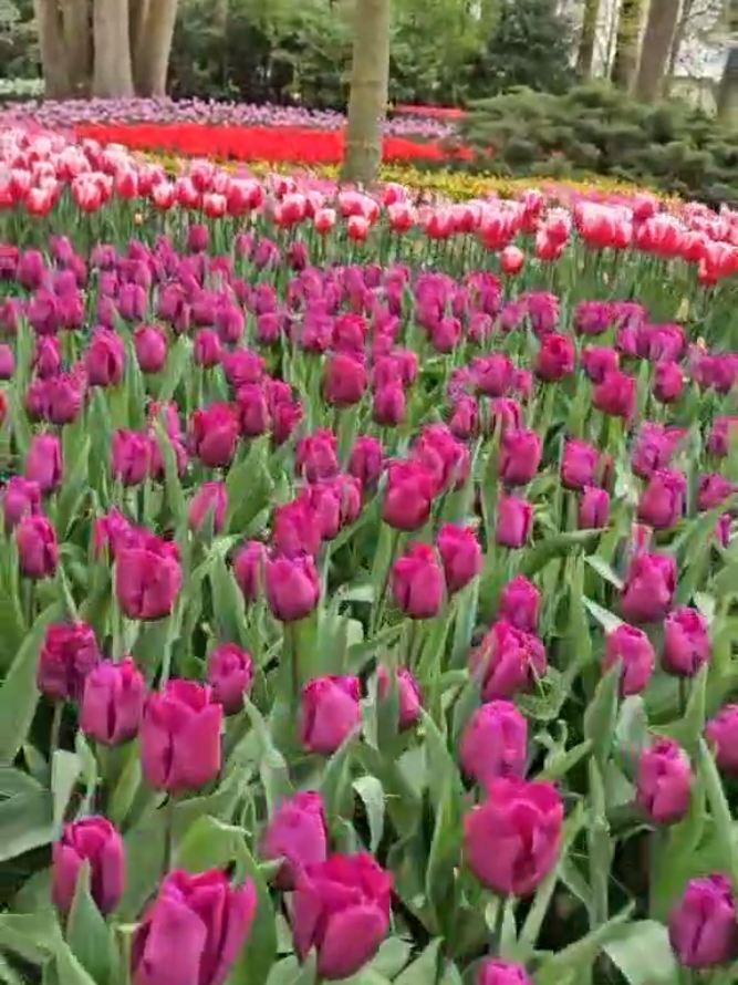 @Призрачка