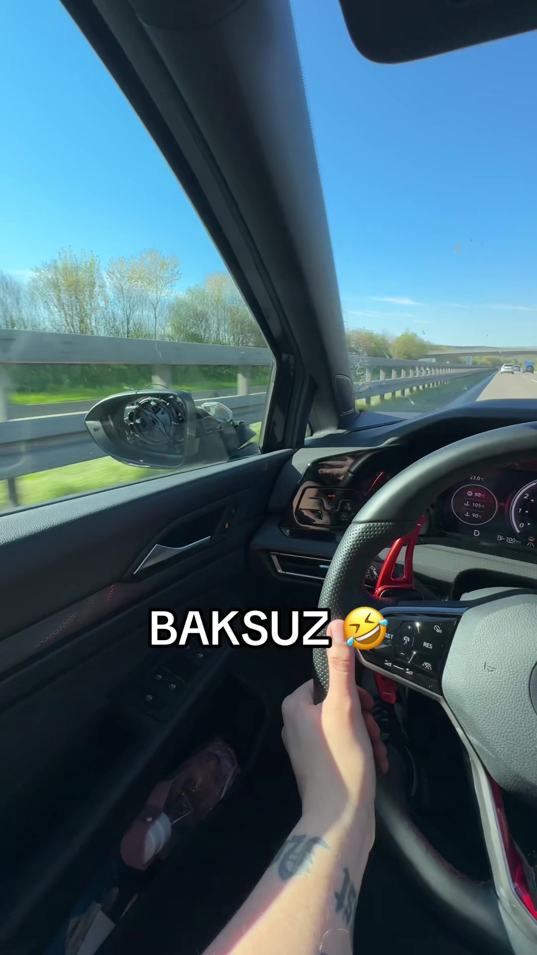 @selma re&scaron;injo