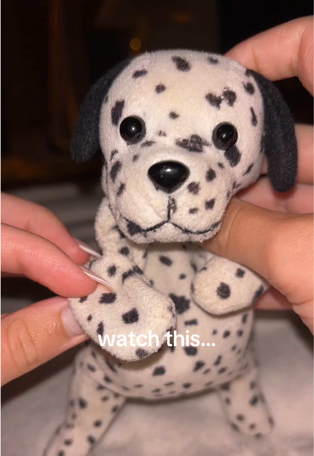 @saraandspot