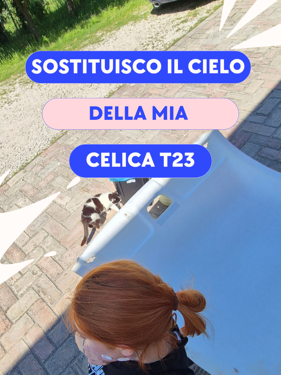 @🌸GiadixT23🌸