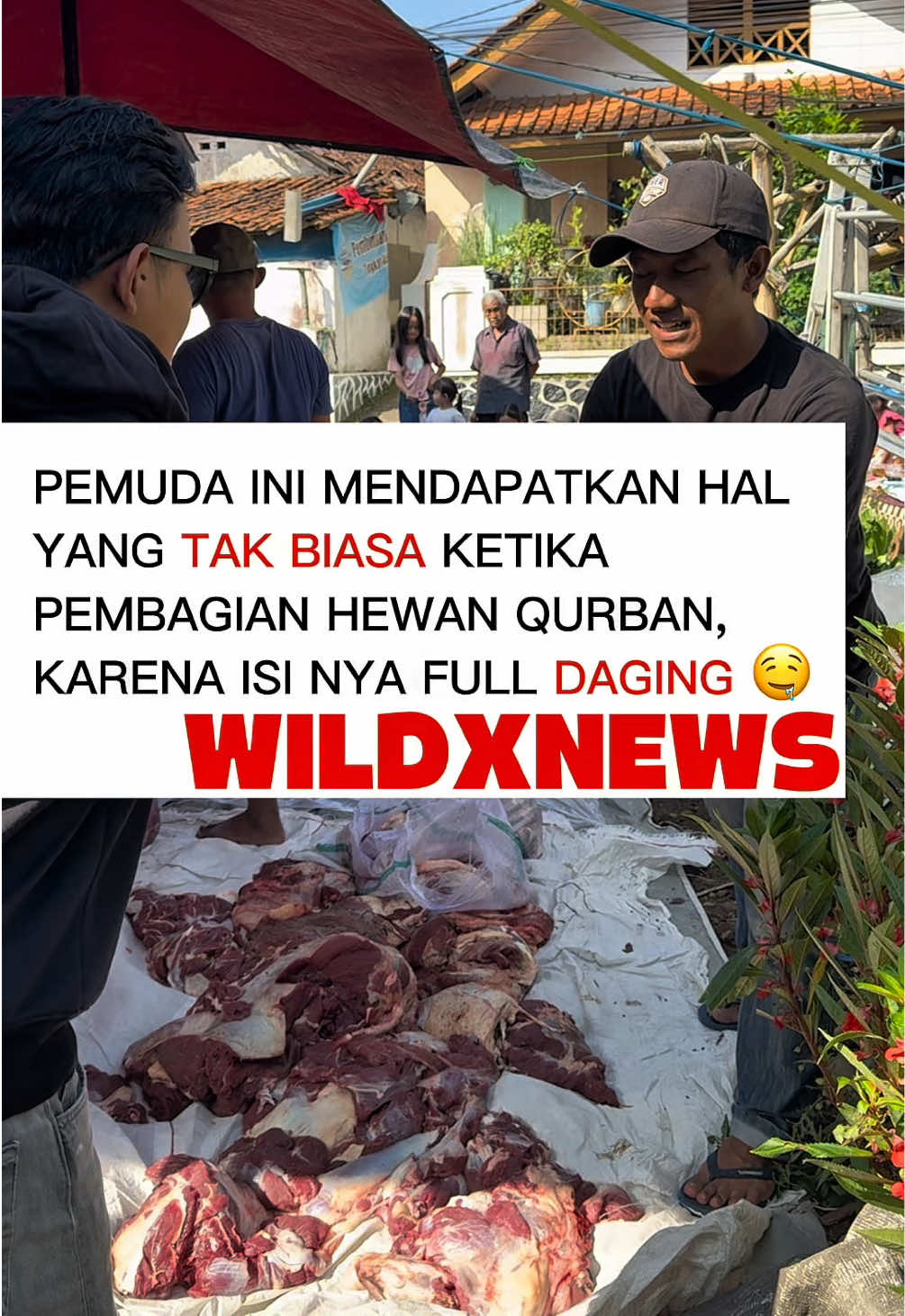 @Wildxstoretasik