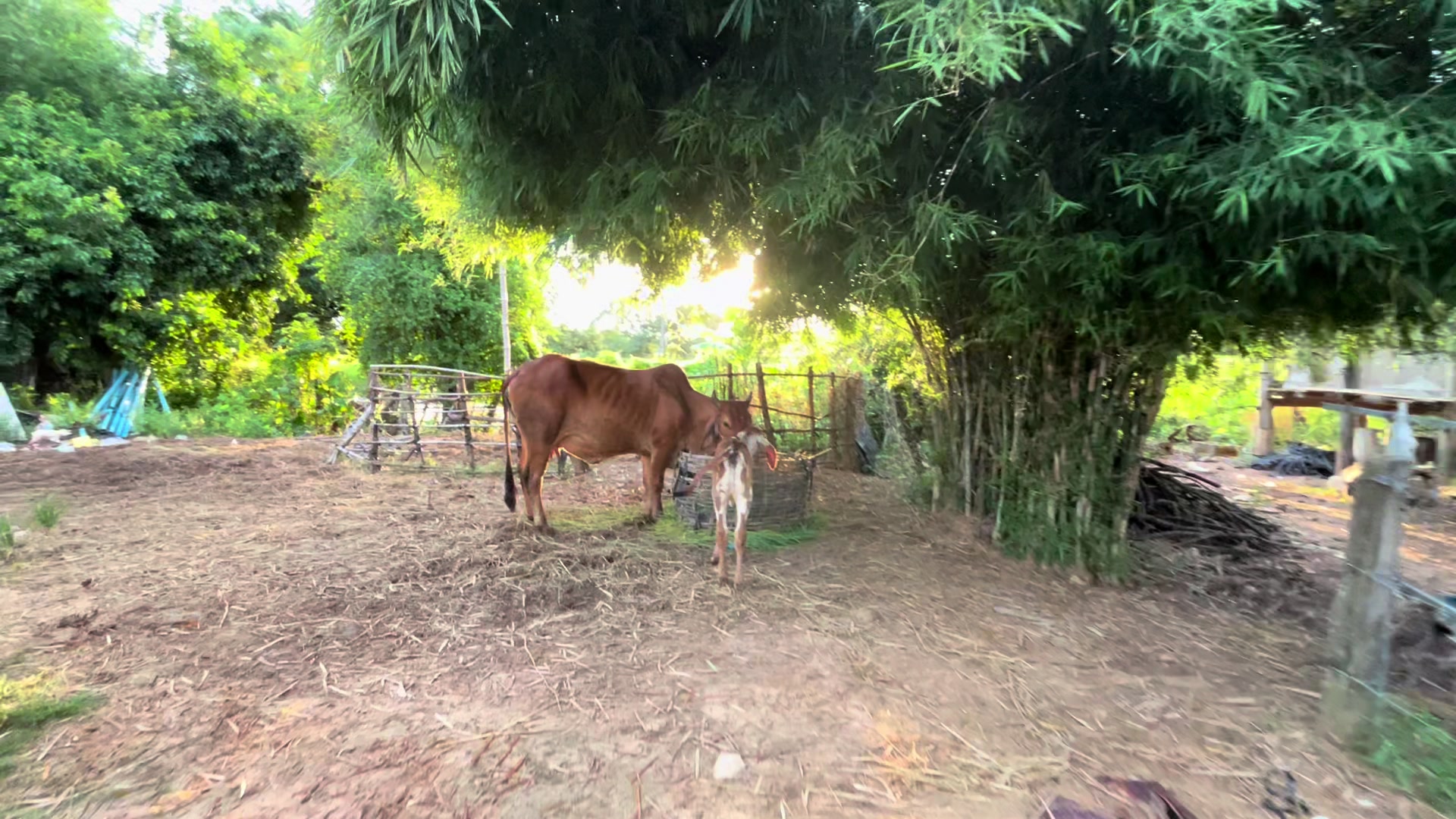 @Na k-វណ្ណៈ