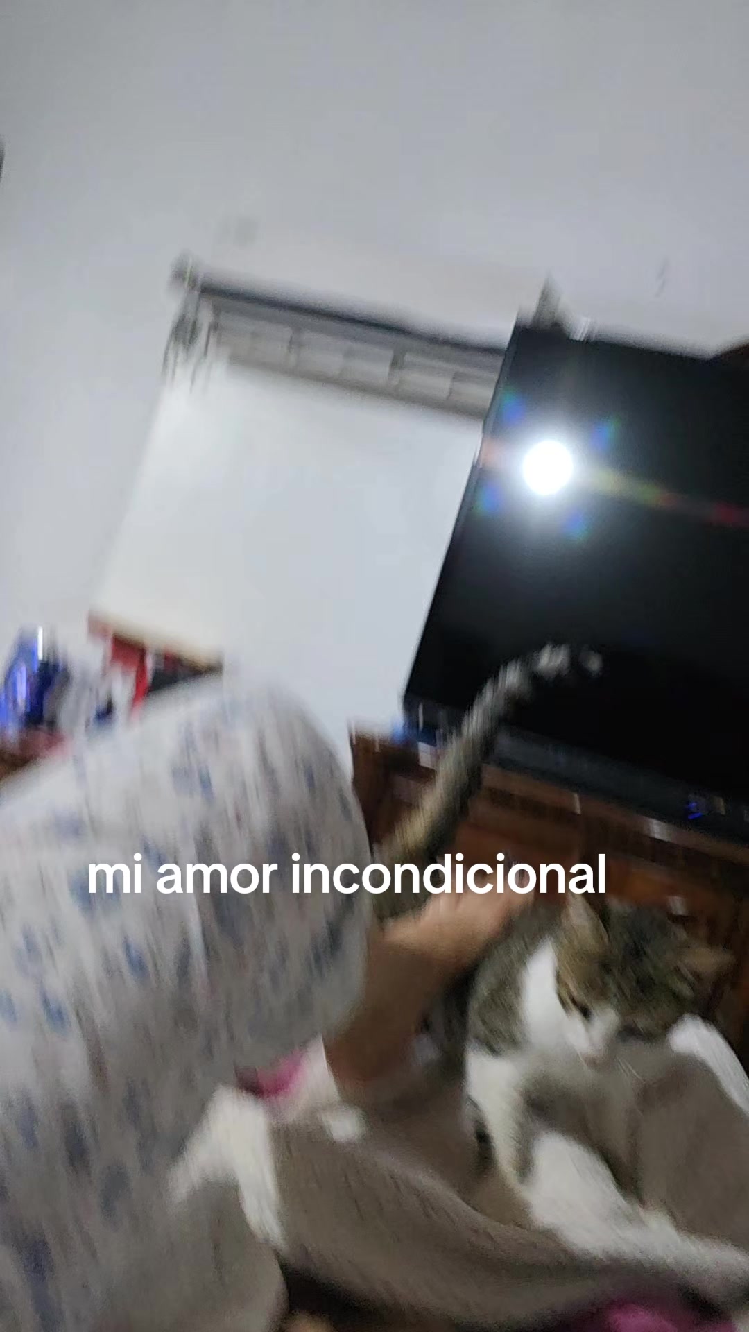 @nohemimolinagarcia