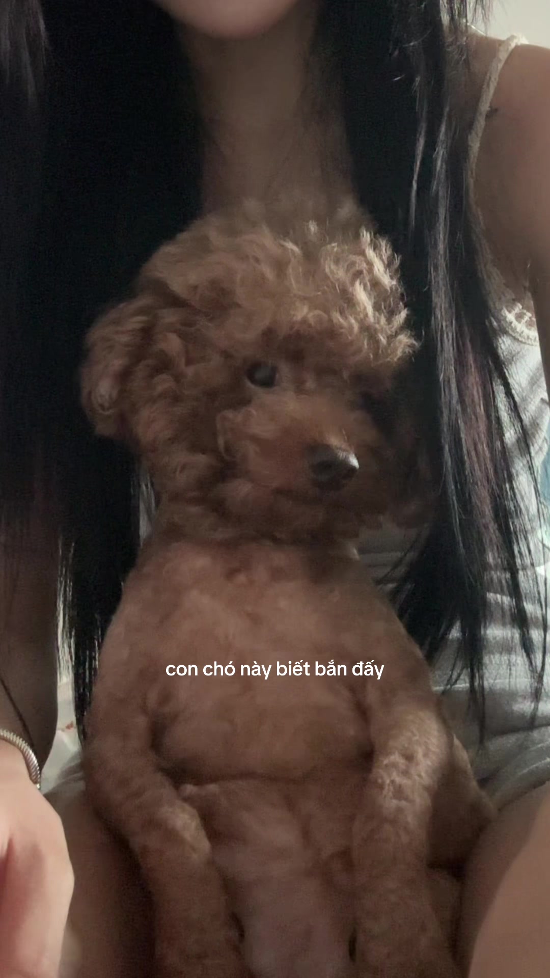 @jan