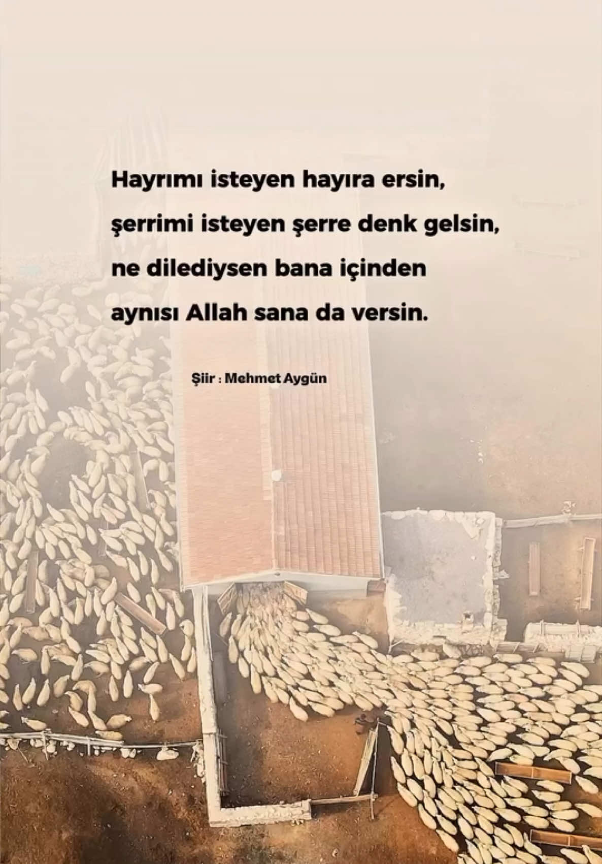 @Mehmet Aygün