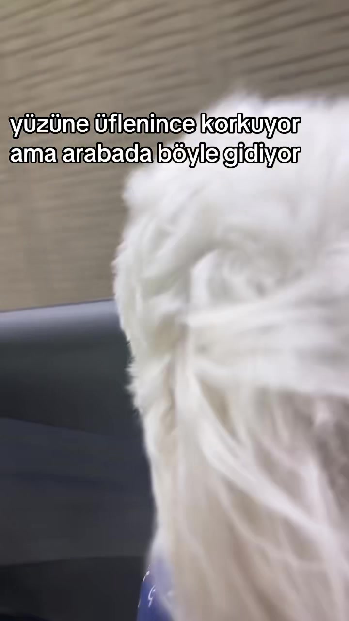 @nanasucuk