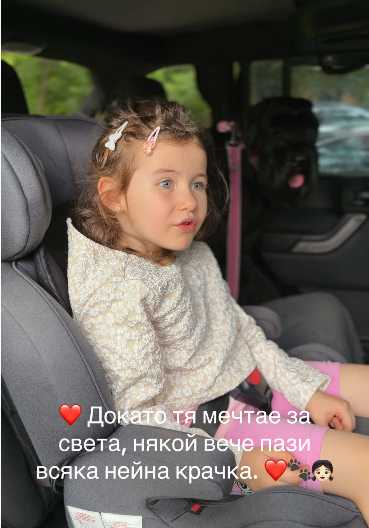 @stanimir_bahchevanov