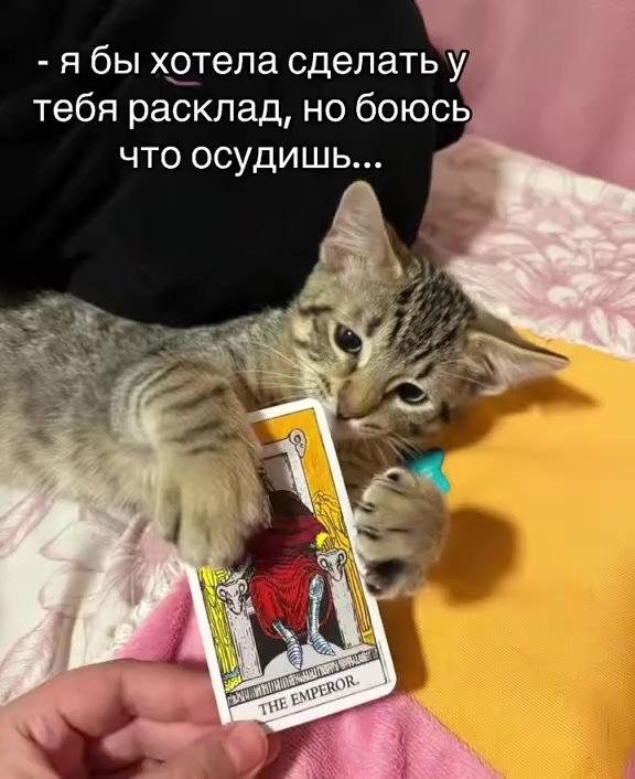 @тг: diamantzzz