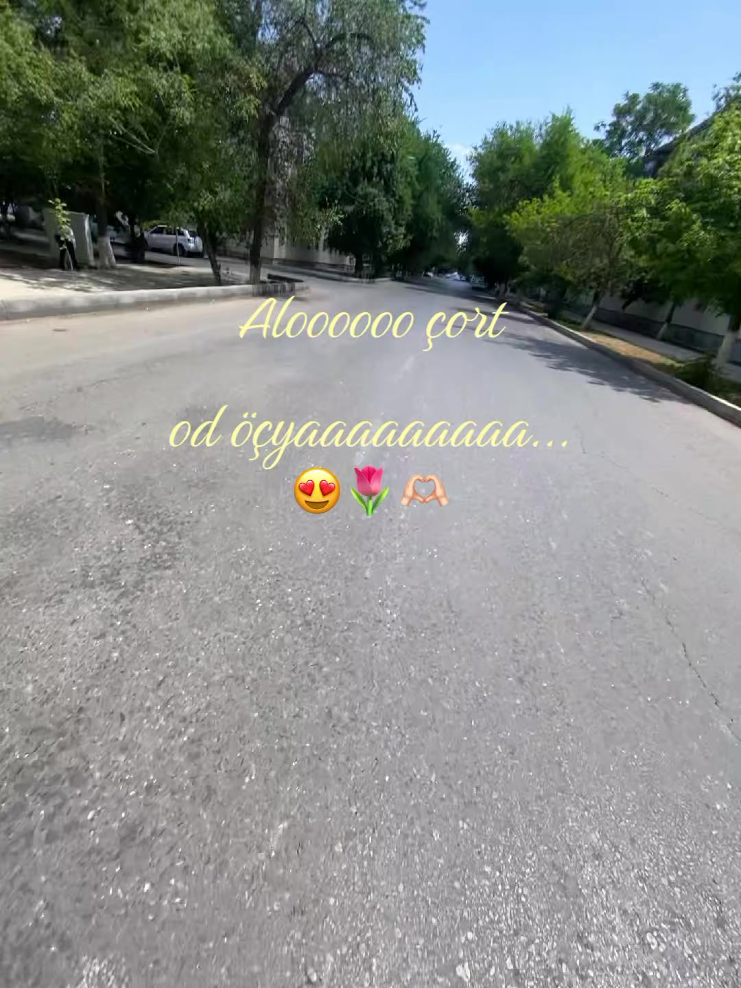 @๐๐ซ๐ข๐ฏ_๐๐๐ป๏ฃฟ