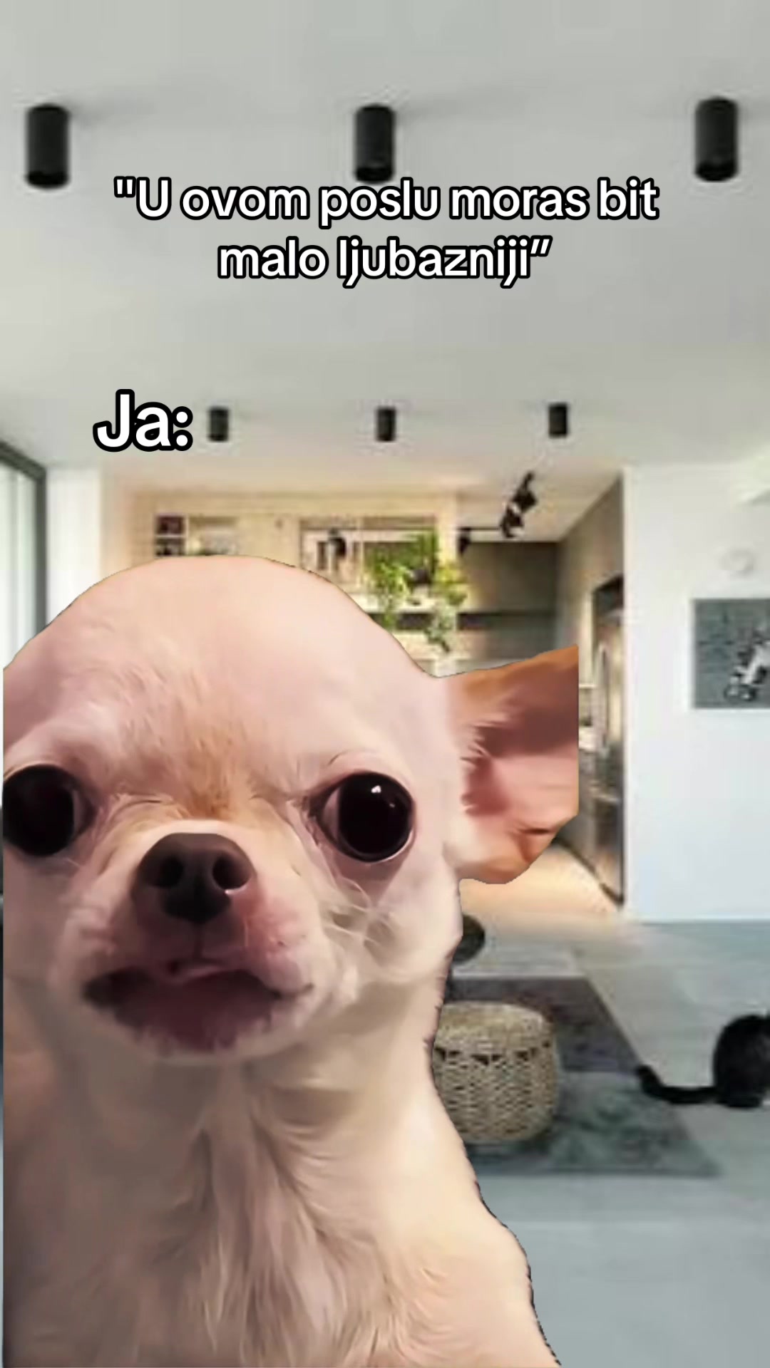 @๐ข๐ฝ๐ฎ๐ฏ๐ฎ๐ด