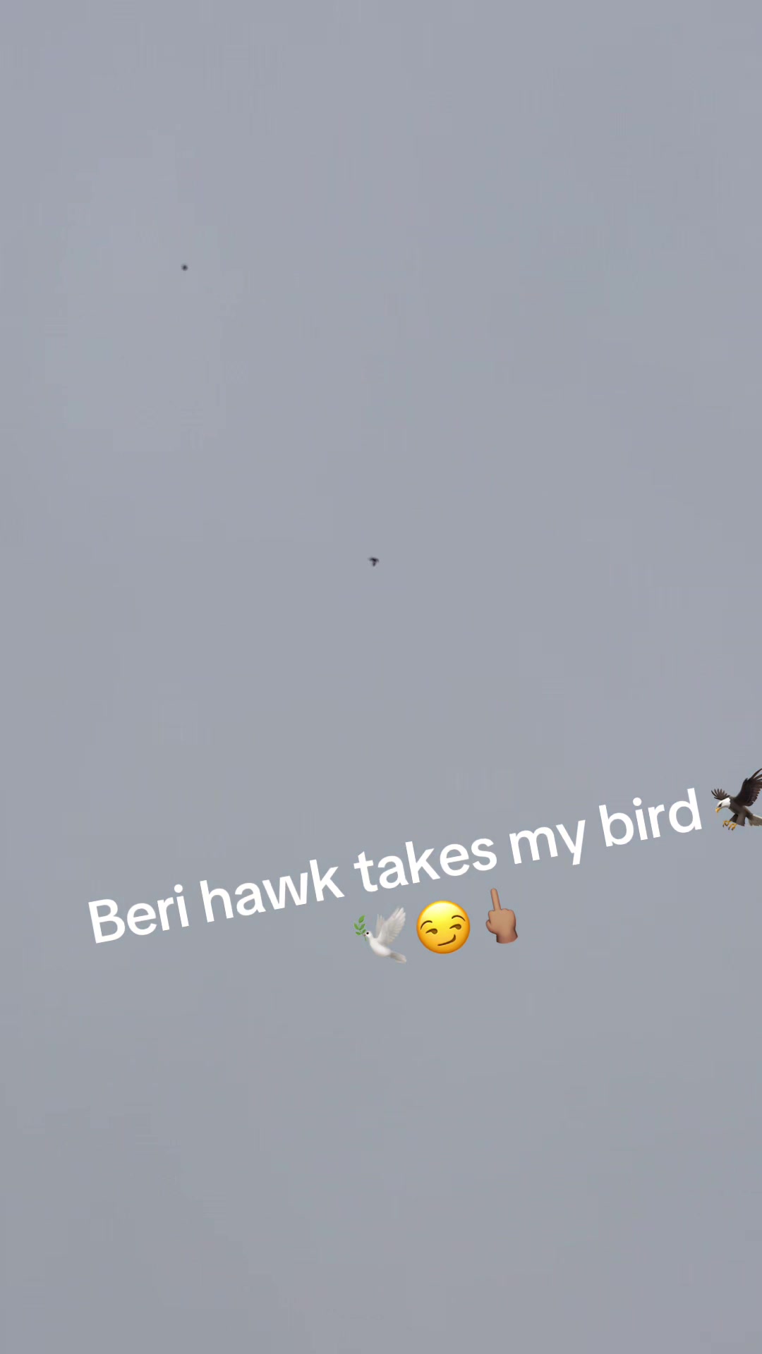 @❤️🕊مدثرRaja🕊❤️