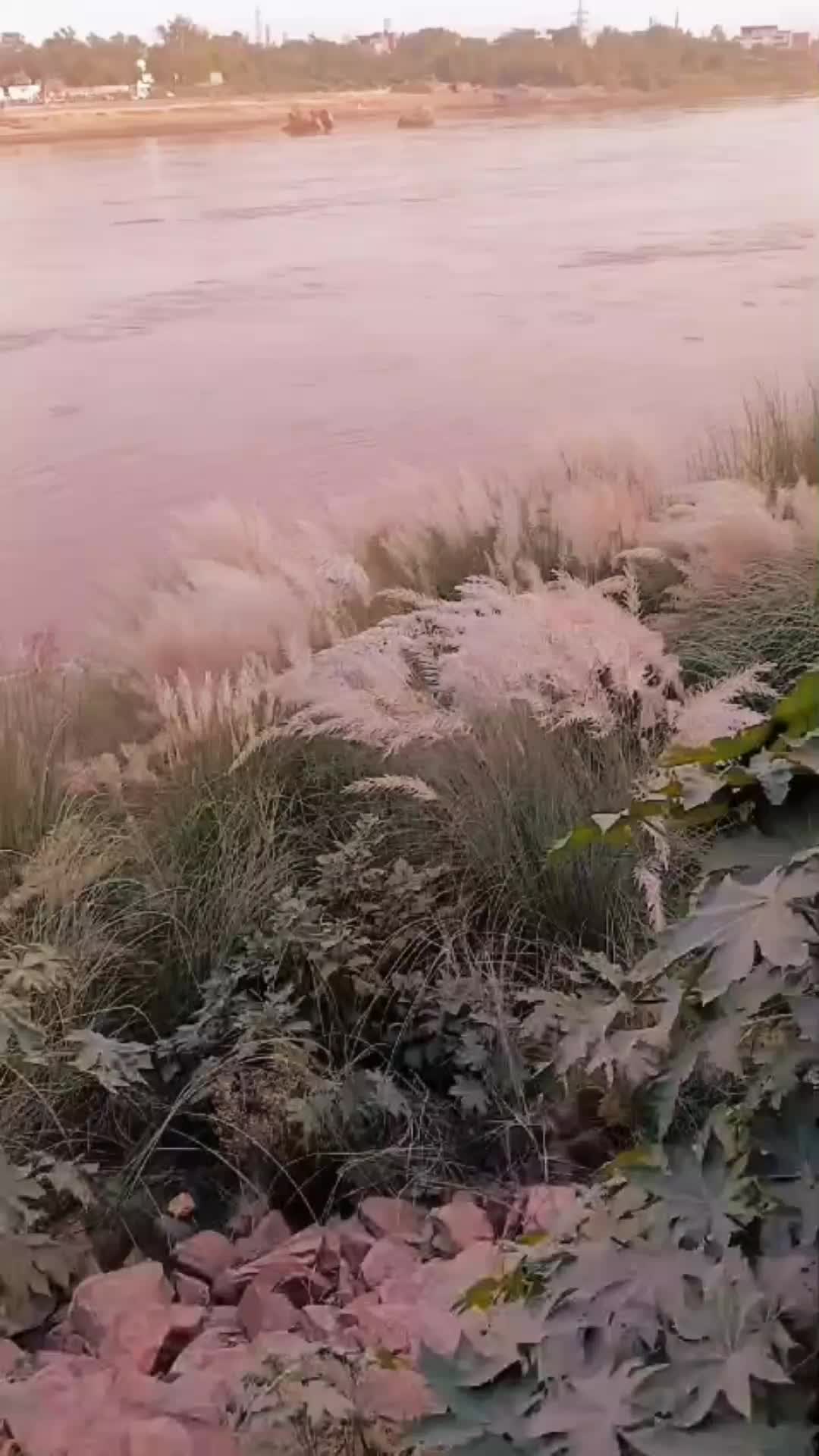 @aliraza777