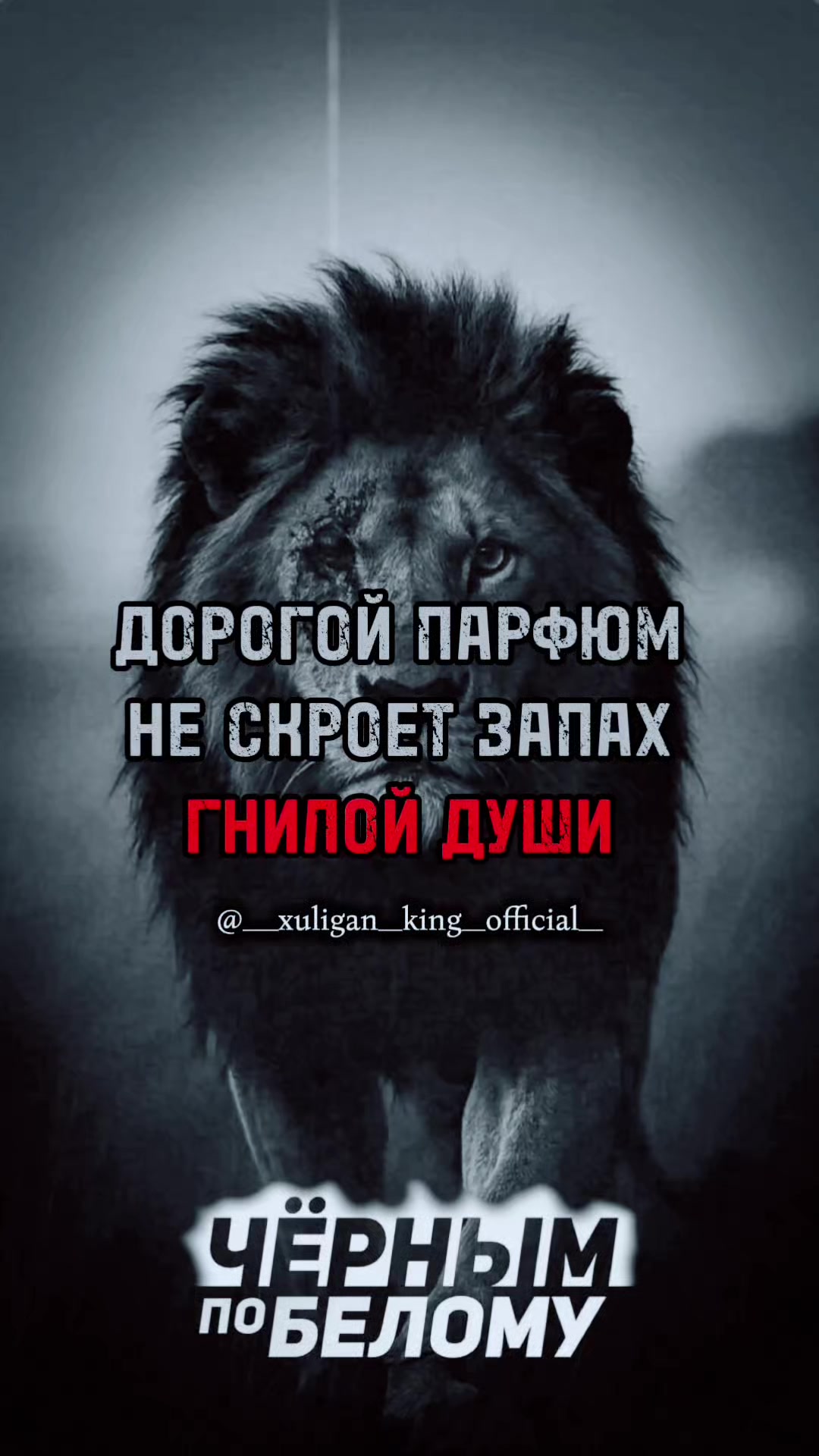 @﷽🦁𝑿𝑼𝑳𝑰𝑮𝑨𝑵.𝑲𝑰𝑵𝑮.🦁﷽