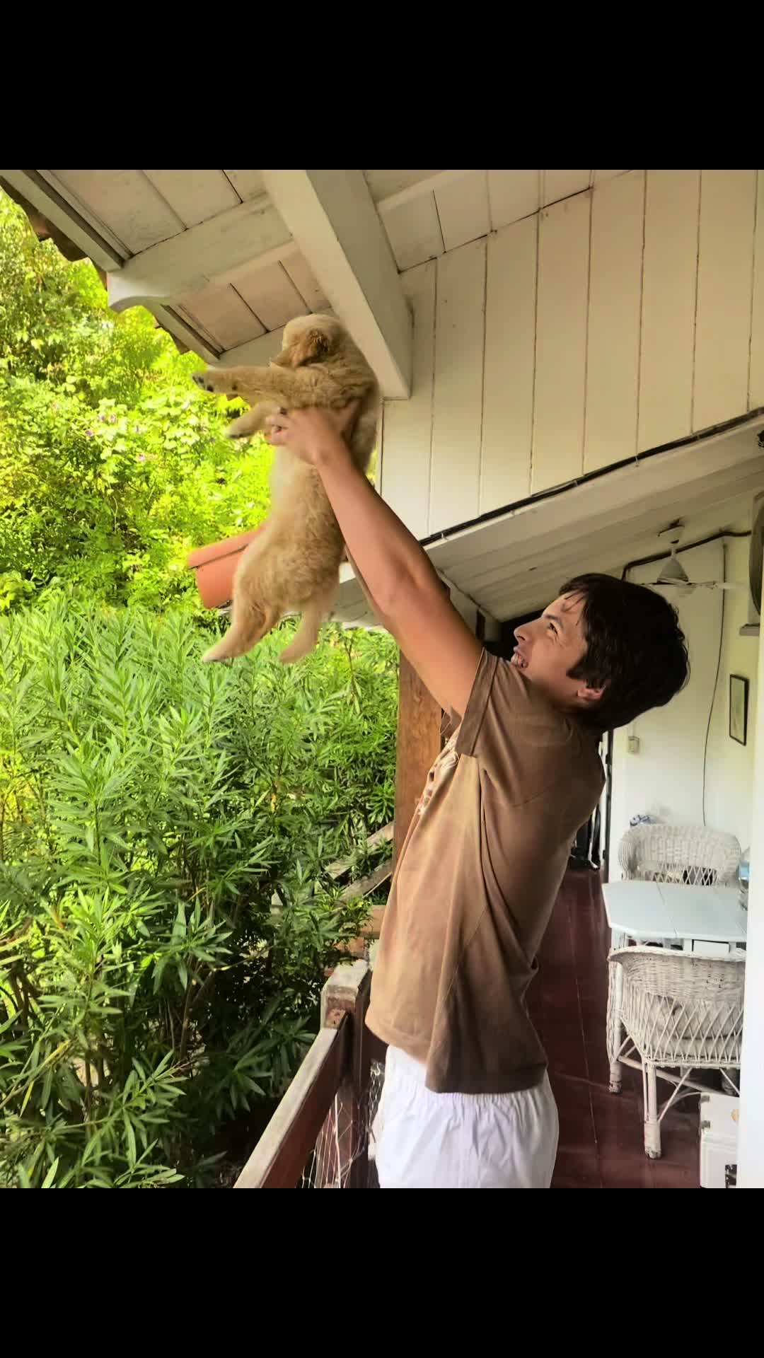 @Narco🐕🐾🐾