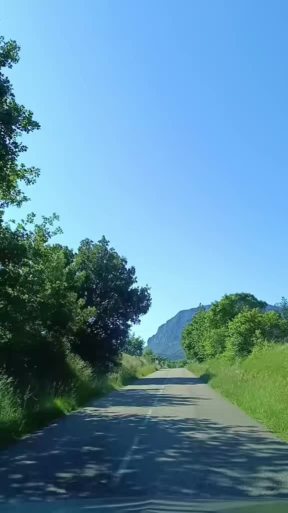 @Jo&atilde;o Cardoso
