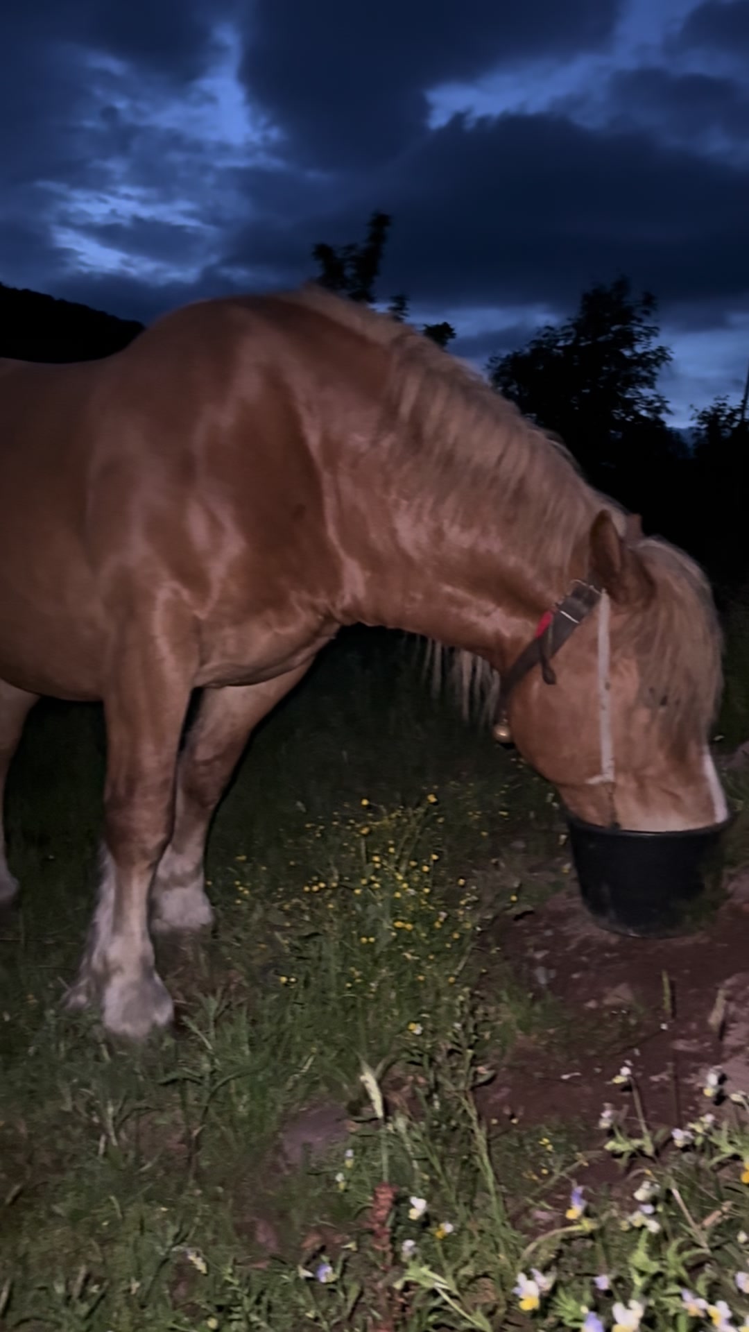 @Andrada❤️💫