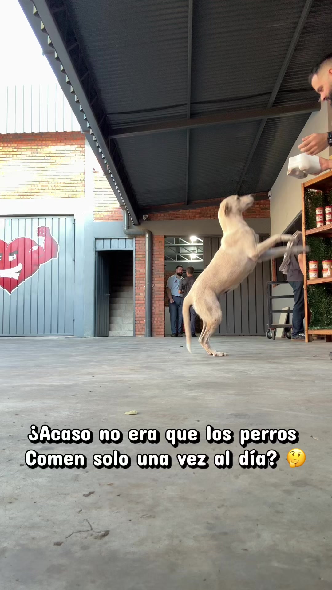 @Hugo Dos Santos